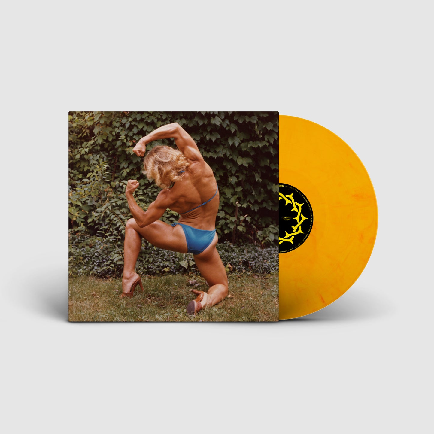 Bob from South - Holy