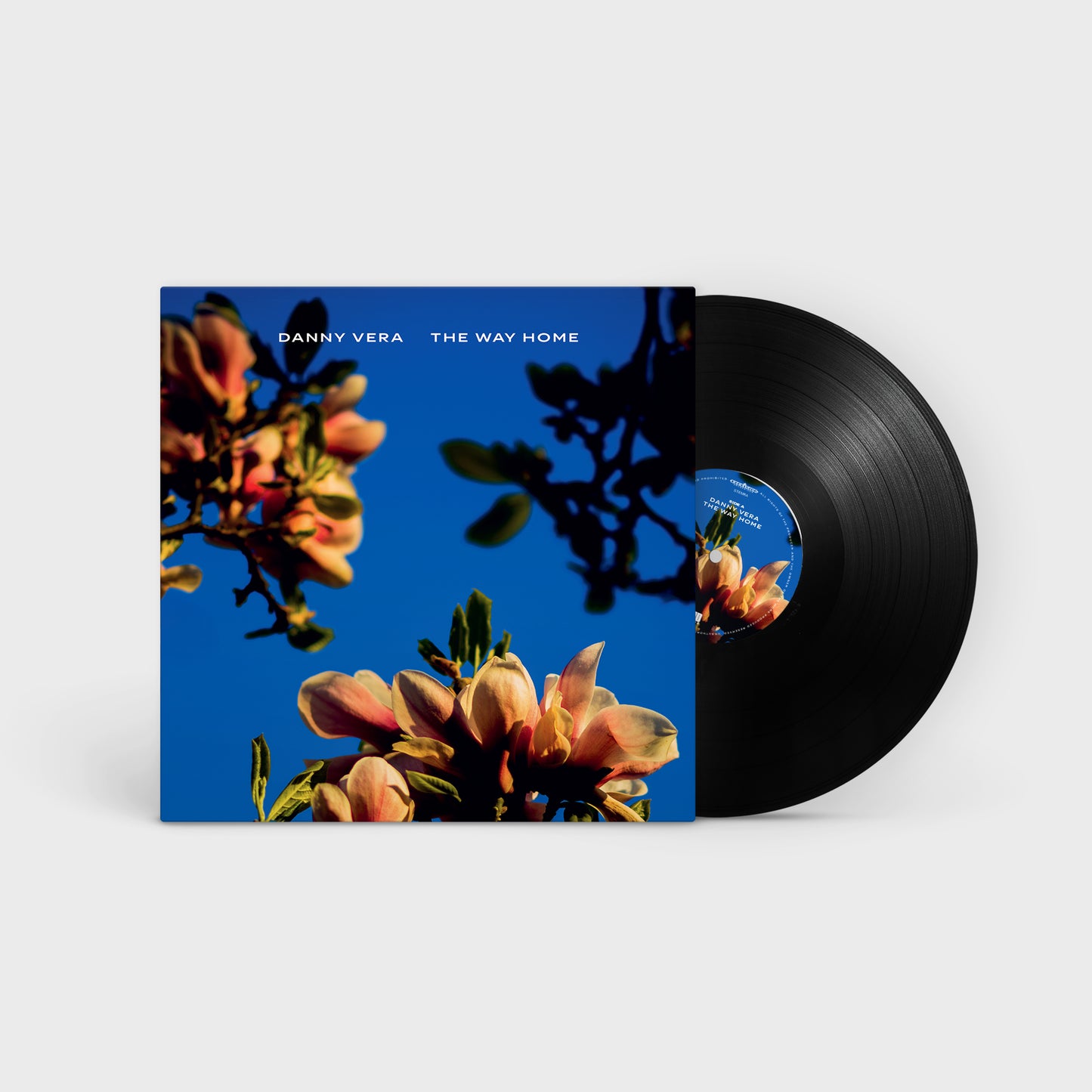 Danny Vera - The Way Home (pre-order)