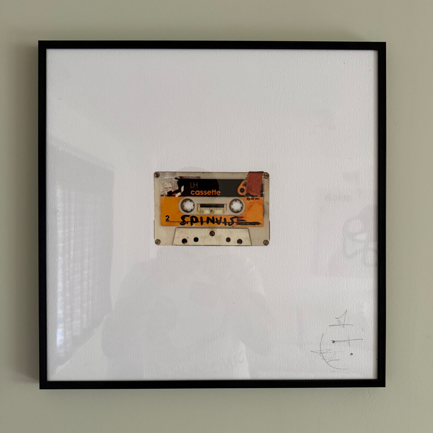Spinvis - Cassette Print