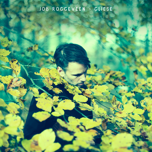 Job Roggeveen - Gliese