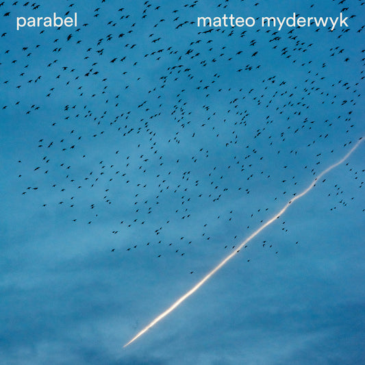 Matteo Myderwyk - Parable (LP)