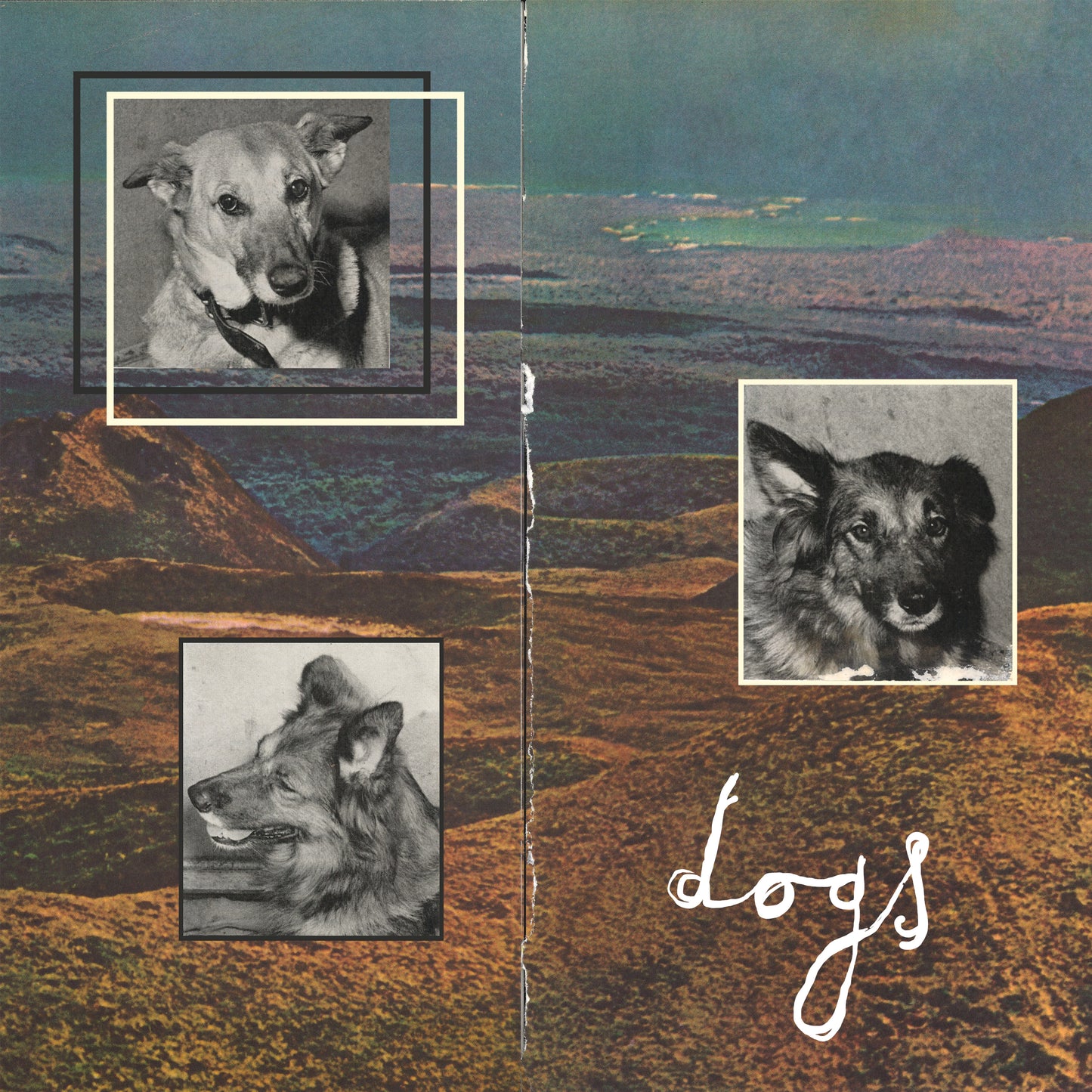 Steve French - Dogs
