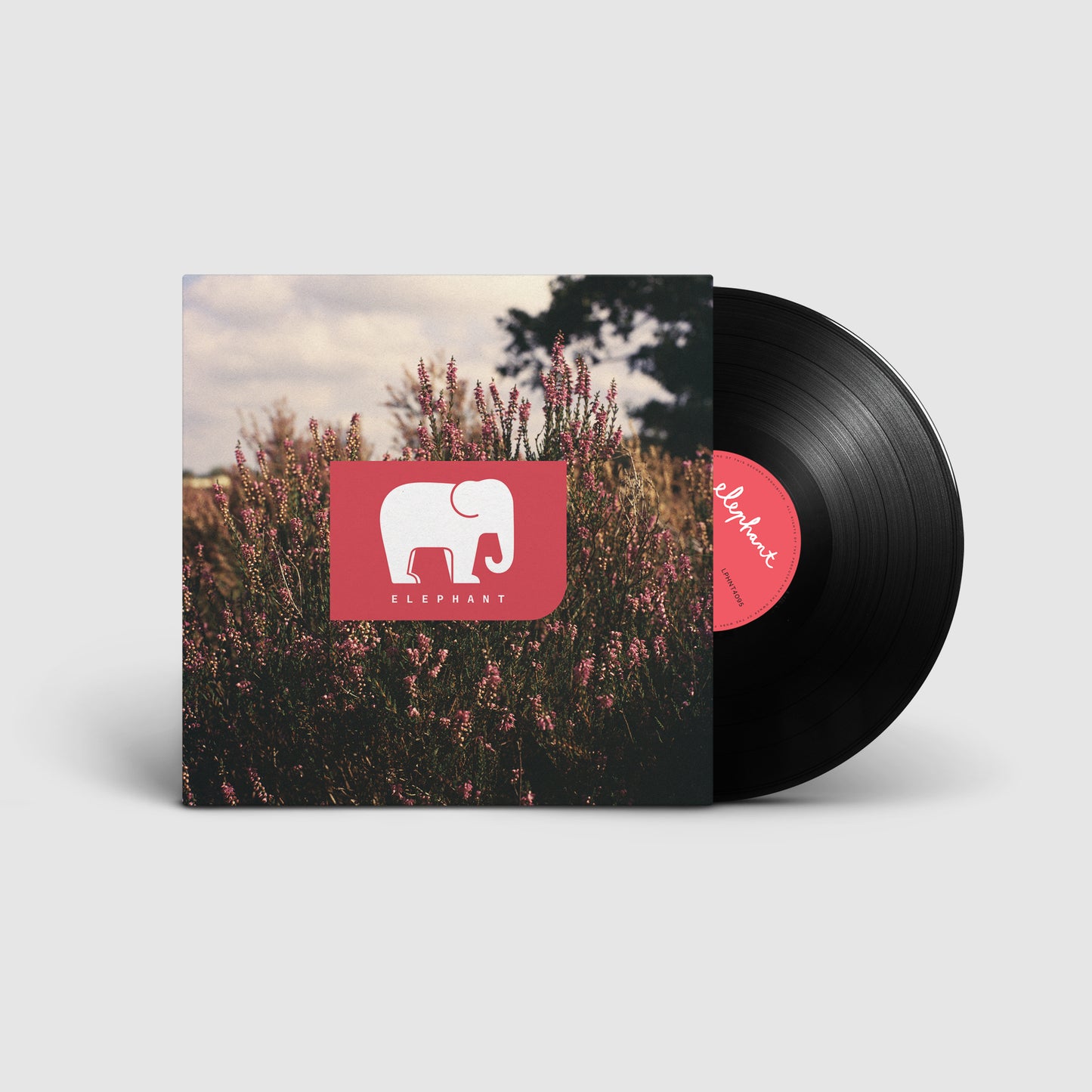 Elephant - Elephant