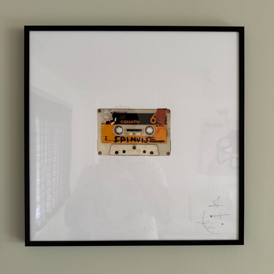 Spinvis - Cassette Print