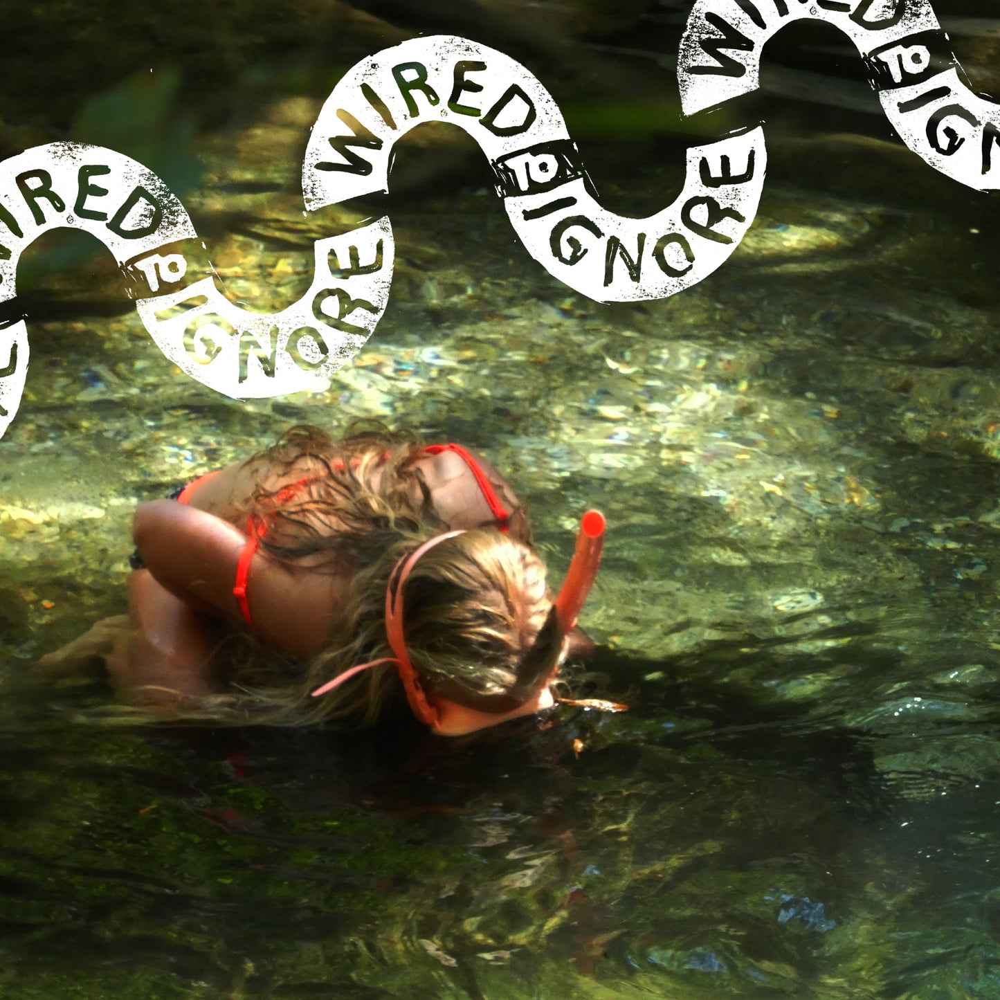 Wired To Ignore - Wired To Ignore (pre-order)