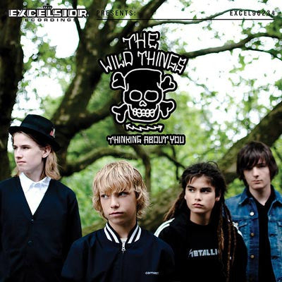 Wild Things - Thinking About You