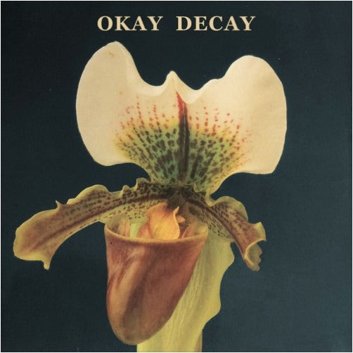 Canshaker Pi - Okay Decay