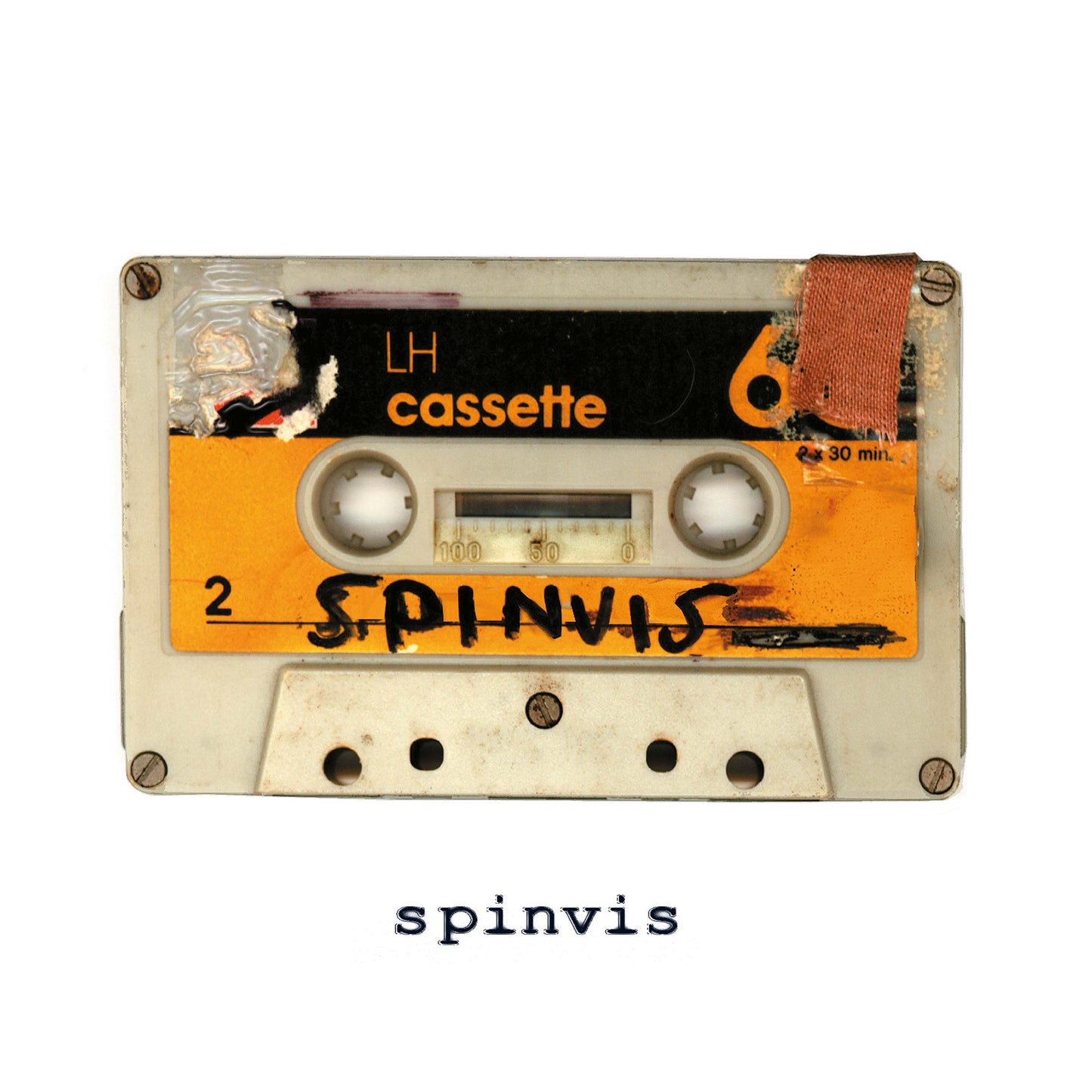 Spinvis - Spinvis